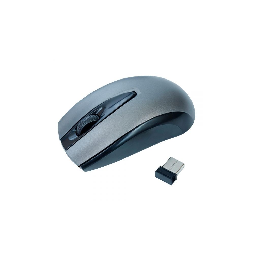 Mouse sem Fio Óptico Cinza e Preto MS407 - Oex