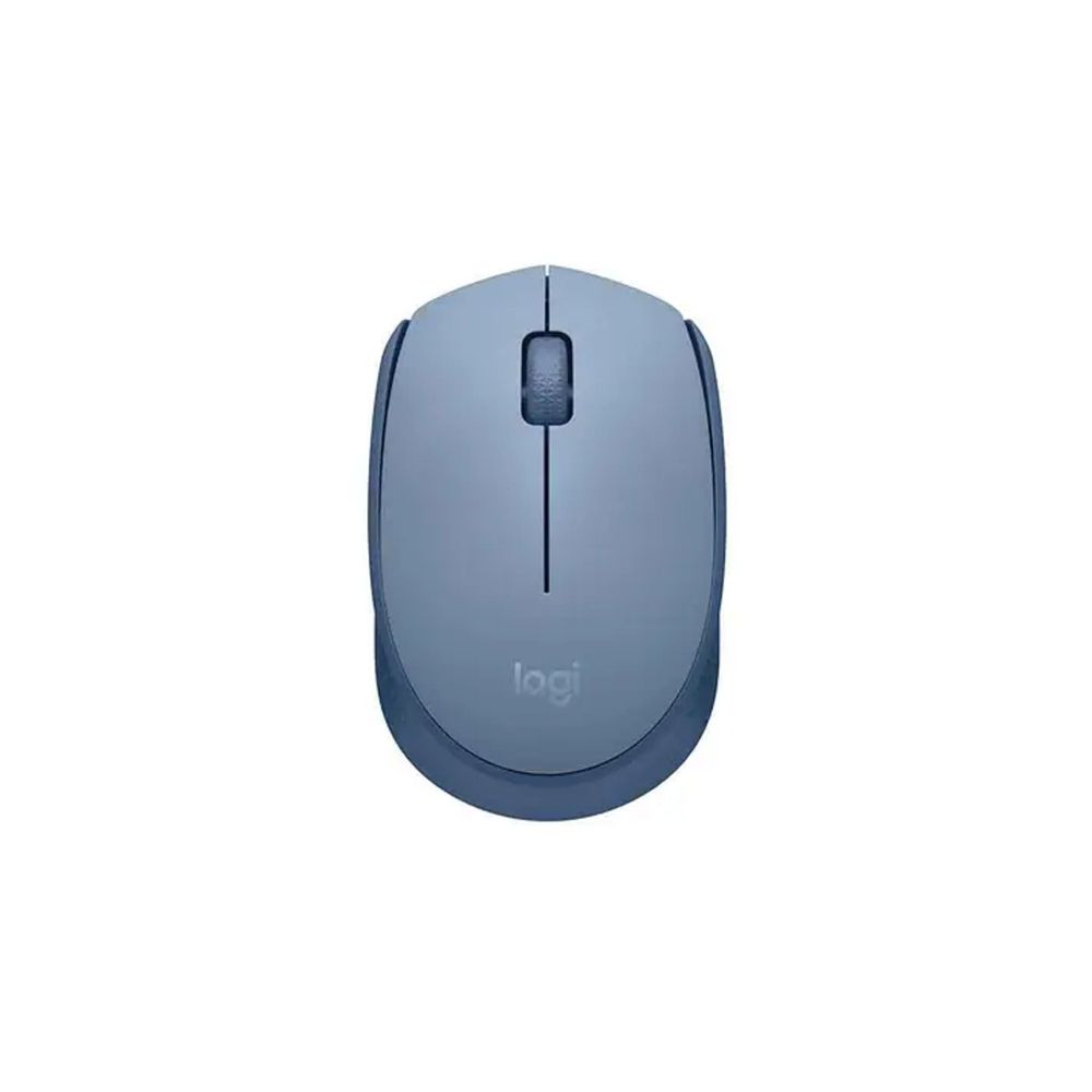 Mouse Óptico Sem Fio M170 Azul - Logitech