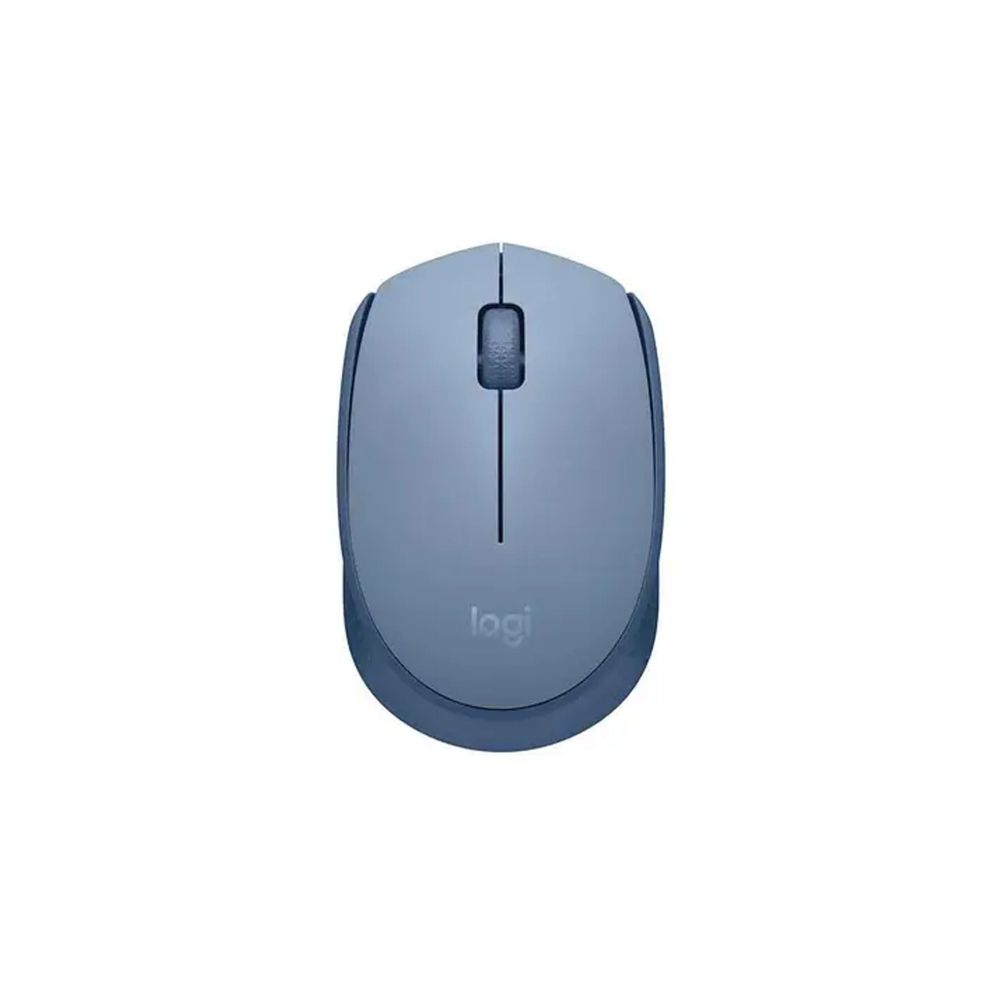 Mouse Óptico Sem Fio M170 Azul - Logitech