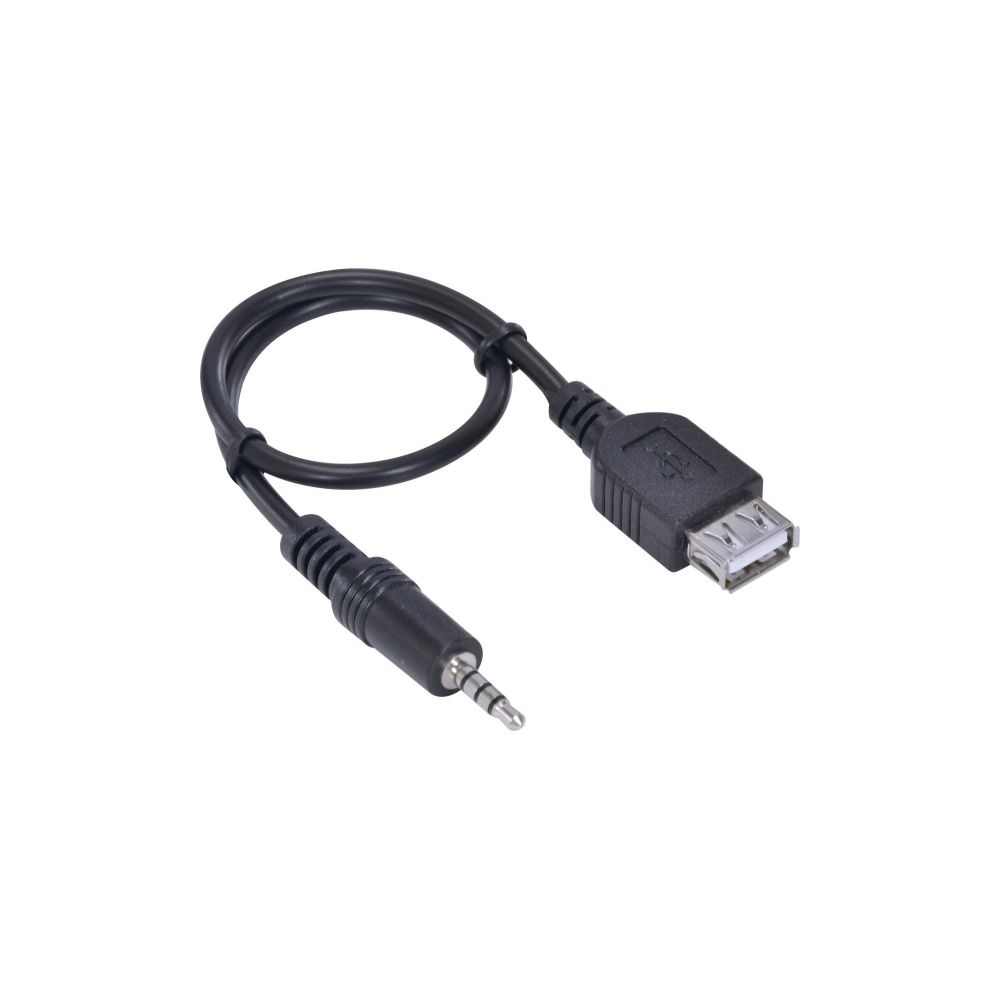 Cabo P2 X USB Fêmea 30 CM - Vinik 