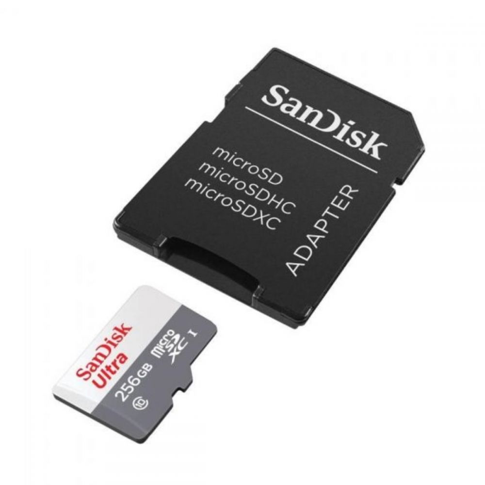 Cartão de Memória Micro SD 256GB SDSQUNR256GGN6TA - SanDisk