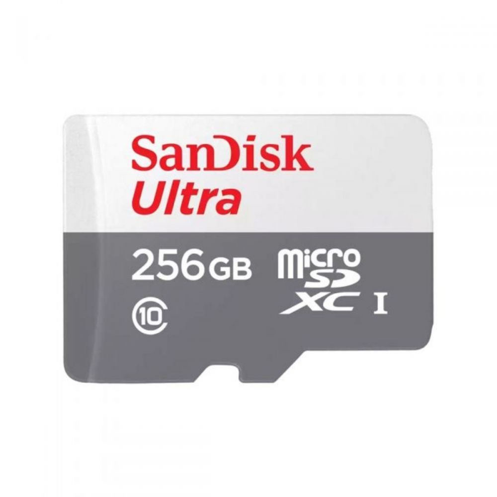 Cartão de Memória Micro SD 256GB SDSQUNR256GGN6TA - SanDisk