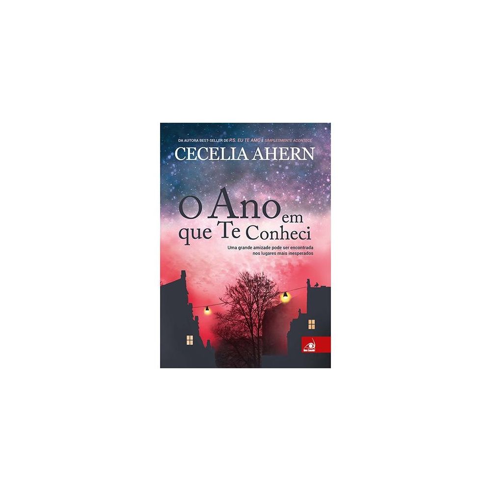 Livro - O Ano em que te Conheci