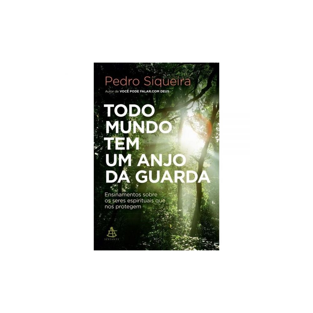 Livro: Todo Mundo Tem Um Anjo da Guarda - Pedro Siqueira