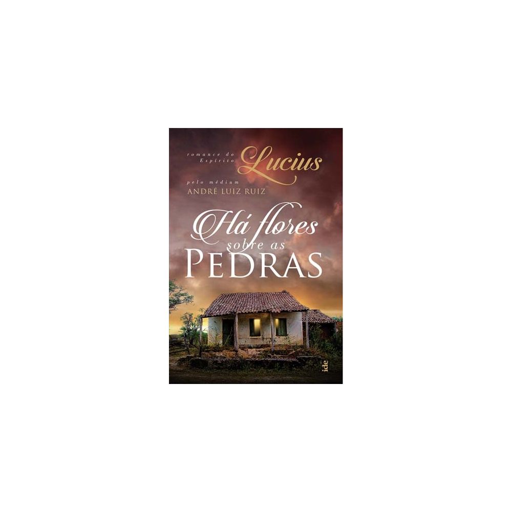 Livro - Há Flores Sobre As Pedras - André Luiz Ruiz