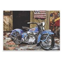 Quadro com Relevo Harley-Davidson 27,5X39 - Zenir