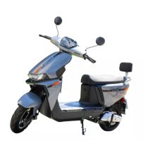 Autopropelido Scooter Elétrica DOT 1000W Cinza - MotoChefe