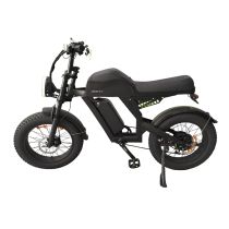 Bicicleta Elétrica com Pedal 1000w/48v/15a Preta - Watts