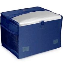 Bolsa Térmica 15l Azul Marinho 3610 - Mor