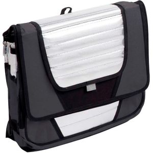 Cooler 3622 Com 1 Divisória Cinza 36 Litros  3622 - Mor